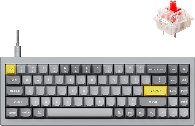 Keychron Q7 Wired Custom Mechanical Keyboard, 70% Layout QMK/VIA Programmable Macro with Hot-swappable Gateron G Pro Blue Switch Double Gasket Compatible with Mac Windows Linux (Grey)