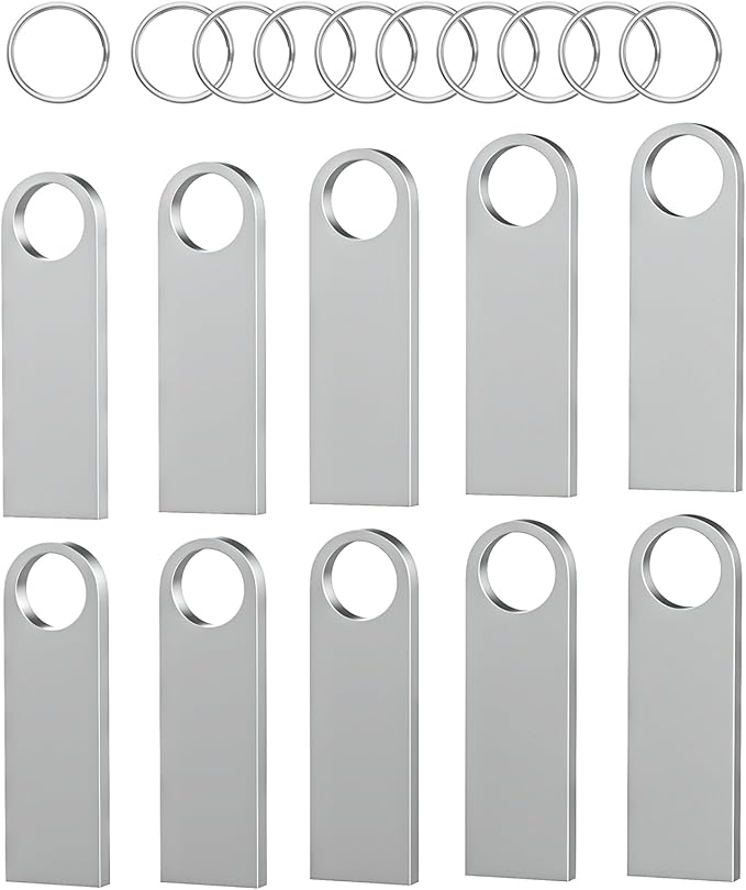 ABLAZE 2GB Flash Drive 10 Pack, Metal USB 2.0 Thumb Drives with Keychains USB Sticks Pendrives (Sliver)