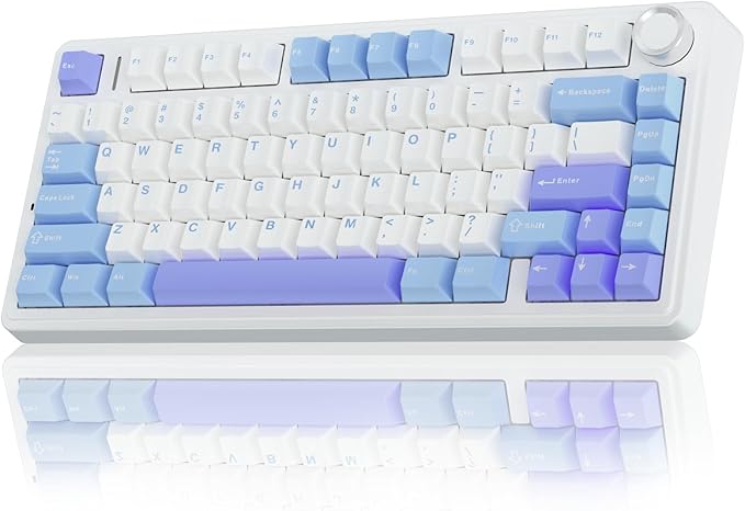 AULA F75 75% Wireless Mechanical Keyboard, Hot Swappable Creamy Keyboard, Pre-lubed Reaper Switches, 2.4GHz/Type-C/BT5.0, RGB Backlit Gaming Keyboards(White & Blue)