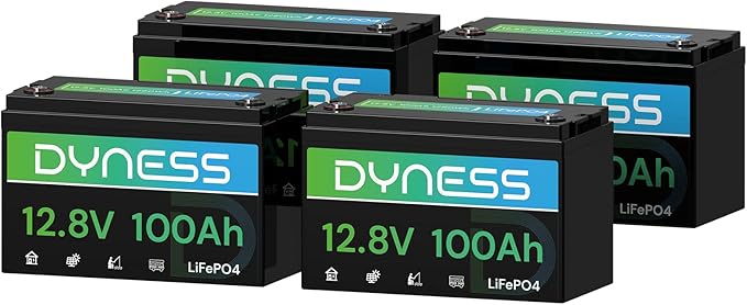 Dyness 12V 100Ah Mini LiFePO4 Battery 2 Pack Group 24, 12 Volt Deep Cycle Lithium Battery with 100A BMS, Low-Temp Protection & 10 Years Lifespan for RV, Boat, Trolling Motor, Solar Off-Grid
