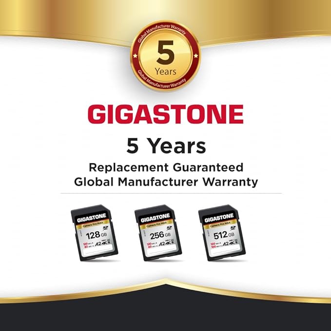 【5-Years Data Recovery】GIGASTONE 256GB SD Card 2-Pack 4K Camera Pro MAX, UHS-I A2 4K SDXC Memory Card High Speed 4K UHD Video Speed up to 120MB/s Compatible with Kodak Digital Camera with 2 Mini cases