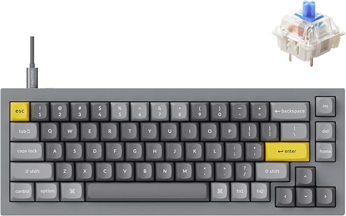 Keychron Q2 Wired Custom Mechanical Keyboard, QMK/VIA Programmable Macro, Full Aluminum, Hot-Swappable Gateron G Pro Red Switch, 65% Layout Double Gasket Compatible with Mac and Windows - Blue