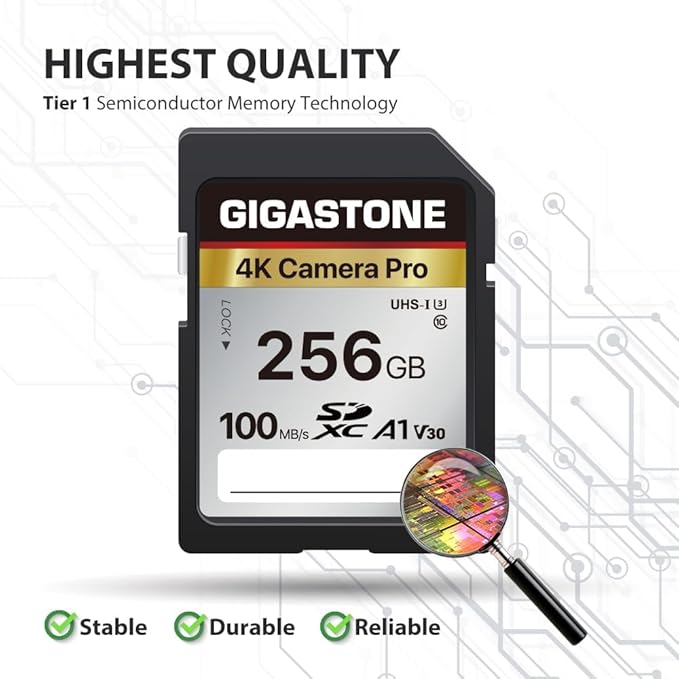 【5-Years Data Recovery】 GIGASTONE 256GB SD Card with USB Type C Card Reader, 4K Camera Pro, UHS-I A1 V30 U3 SDXC Memory Card Speed up to 100MB/s Compatible with Digital Camera, with 1 mini case