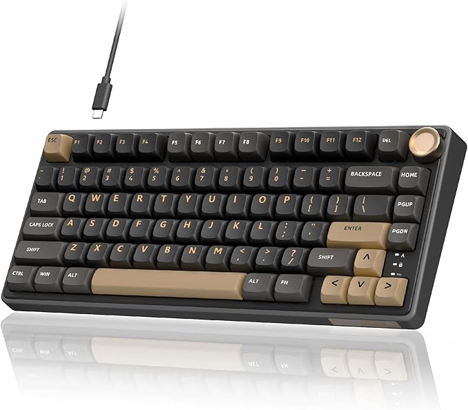 RK ROYAL KLUDGE R75 Mechanical Keyboard Wired with Volume Knob, 75% Custom Gaming Keyboard Gasket Mount RGB Backlit with Software, Cherry Profile, Hot Swappable Silver Switch, PBT Keycaps