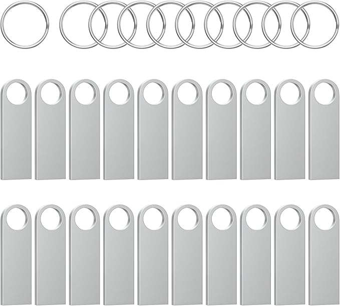 ABLAZE 8GB Flash Drive 10 Pack, Metal USB 2.0 Thumb Drives with Keychains
