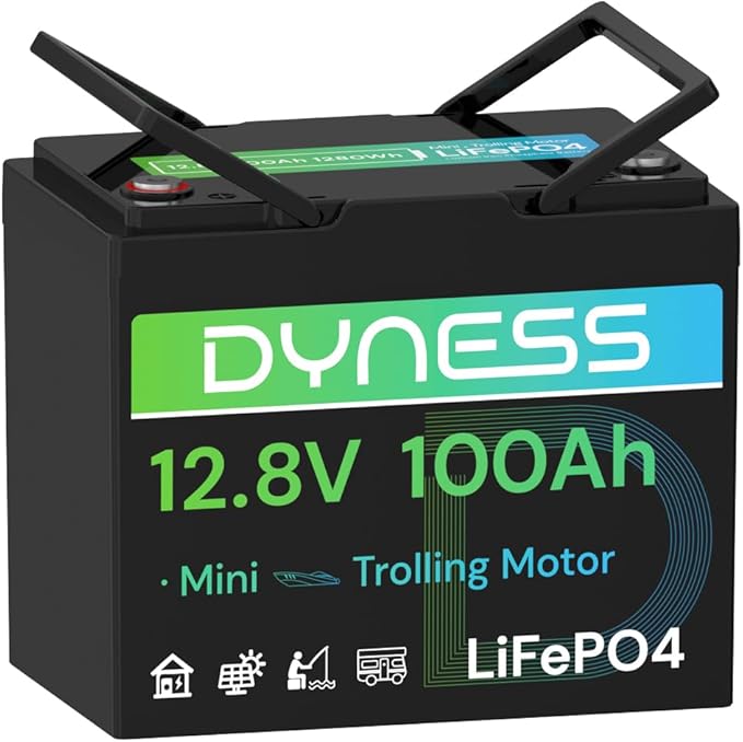 Dyness 12V 100Ah LiFePO4 Lithium Battery BCI Group 31 with Low-Temp Protection, A+ Grade Cell Built-in 100A BMS, 12.8 Volt Lithium Battery Perfect for RV, Solar System, Off-Grid, Home Energy Storage