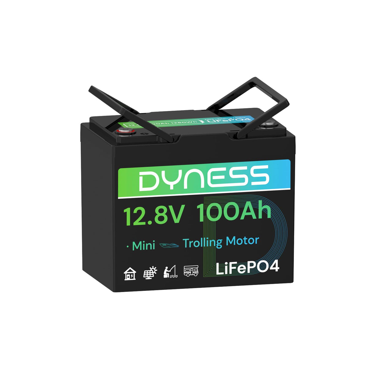 Dyness 24V 100Ah LiFePO4 Lithium Battery Deep Cycle for Marine, RV, Solar