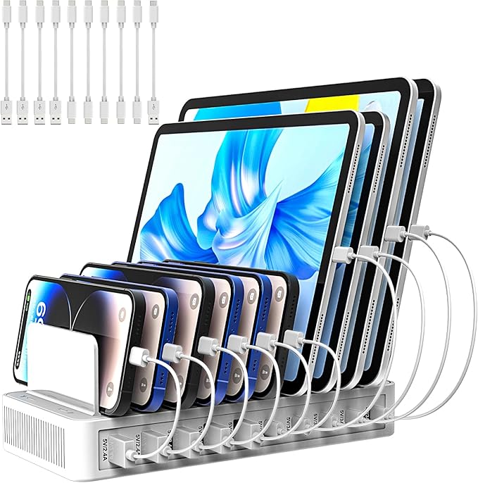 RISWOJOR Charging Station for Multiple Devices, 100W 10 Ports Charging Dock with 10 Cables Smart IC Tech and Adjustable Dividers Type-C,Multi USB Charger for iPhone Galaxy iPad Tablet,Black