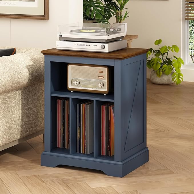 RowyPoey Farmhouse Record Player Stand, Vinyl Storage Turntable Stand