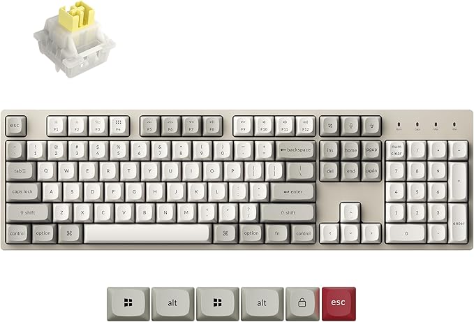 Keychron C2 Pro Wired Mechanical Keyboard with 8K Hz Polling Rate, Full Size Custom RGB Backlit Hot-Swappable, Non-Shine Through PBT Keycaps Compatible with Mac Windows Linux