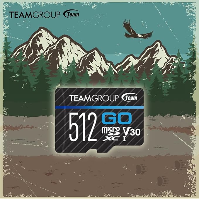 TEAMGROUP GO Card 256GB x 5 Pack Micro SDXC UHS-I U3 V30 4K for GoPro & Drone & Action Cameras High Speed Flash Memory Card for Outdoor Sports, 4K Shooting, Nintendo-Switch TGUSDX256GU368