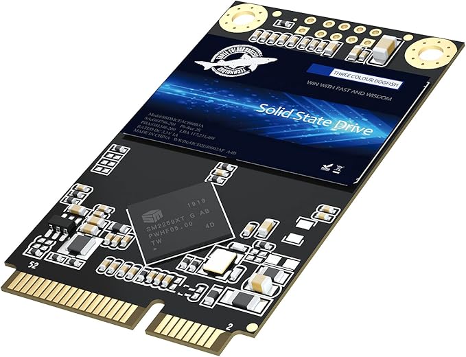 Dogfish mSATA SSD 64GB 3D NAND MLC SATA III 6 Gb/s, mSATA (30x50.9mm) Internal Solid State Drive - Compatible with Desktop PC Laptop - (MSATA 64GB)