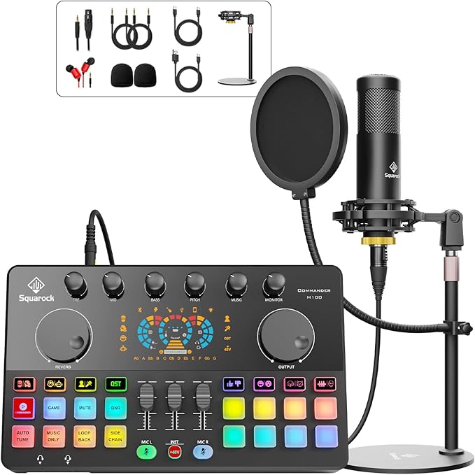 Podcast Equipment Bundle for 2 with Dual 48V XLR Condenser Micophones with Mic Pop Filters Audio Equipment for Live Streaming/ Recording, Online Gaming for Phone/ Laptop/ PC Audio Interface M100