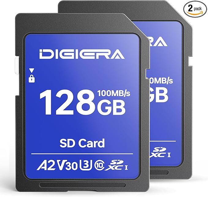 DIGIERA 512GB LS100 SDXC UHS-I Memory Card - up to 170MB/s, C10, U3, V30, 4K UHD, SD Card for Computers, Digital Cameras, Home Theatre Devices, Car Navigation Systems (1 Pack)