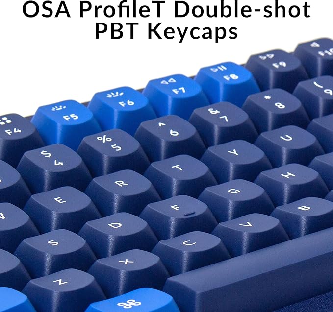 Keychron Q5 Wired Custom Mechanical Keyboard Knob Version, 96% Layout QMK/VIA Programmable Macro with Hot-swappable Gateron G Pro Blue Switch Double Gasket Compatible with Mac Windows Linux (Blue)