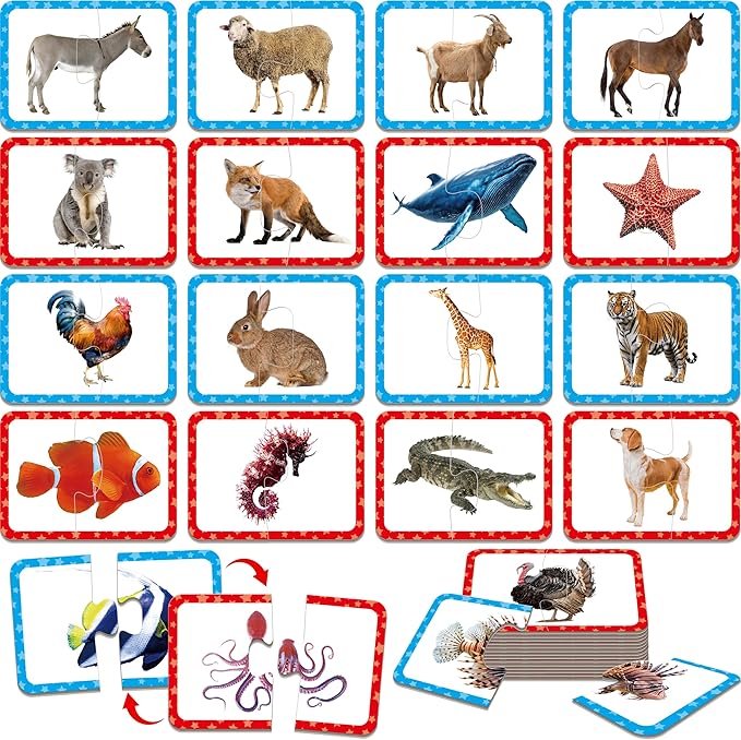 48 Vehicle Matching Puzzles with Error-Correction Mechanism Pre-Primer in 2 Pieces, Perfect for Preschool Learning (24 Blocks Double Sided)