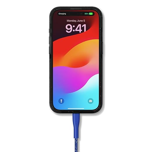 CASETiFY Powerthru USB-C to USB-C Cable (1m/3.3ft) - Meter - Cobalt Blue