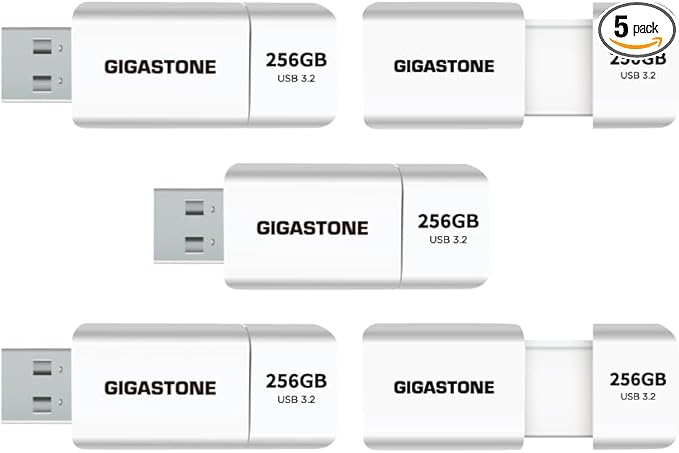 GIGASTONE 256GB Flash Drive (5 Pack) Z60 USB 3.2 Gen 1, 120MB/s Ultra Fast, Retractable Capless Slider Design, Data Storage, Backup for PC/Mac/TV/Car Audio, USB 2.0/3.0/3.1 Compatible