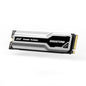 Gigastone M.2 SSD 2TB PCIe 3.0 NVMe SSD 3,500MB/s Internal Gaming Solid State Hard Drive Turbo Speed Heatsink Cooling Heat Dissipation PC Laptop Storage for Gamers Video Editing Creators