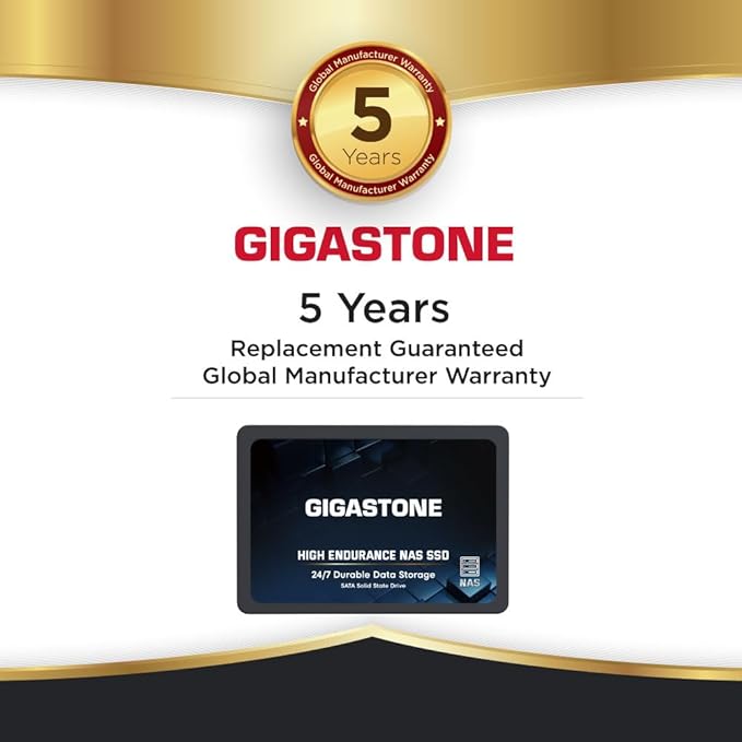 Gigastone 2TB NAS SSD Drive (12-Pack) 24/7 Durable TLC High Endurance RAID Data Storage Network Attached Storage 2.5" SATA Internal Solid State Hard Drives