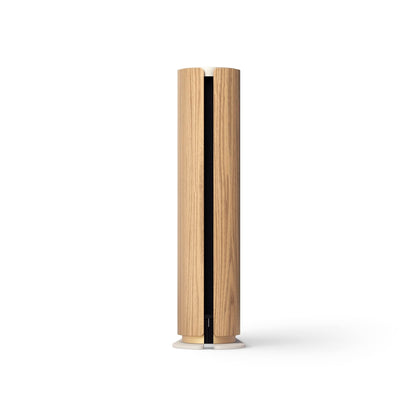 Bang & Olufsen Beosound Emerge Wi-Fi Multiroom Speaker - Gold Tone