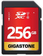 Gigastone 256GB SD Card UHS-I U1 Class 10 SDXC Memory Card High Speed Full HD Video Canon Kodak Olympus Digital Camera, with 1 mini case