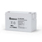 Renogy 12 Volt 200Ah Deep Cycle AGM Battery, Lead Acid Solar Battery