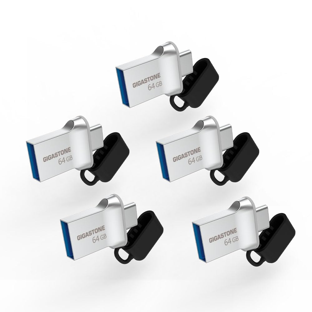 GIGASTONE 256GB Nano Luxus Dual USB Flash Drive, USB-C & USB-A, 100MB/s High-Speed Storage, Metal Design