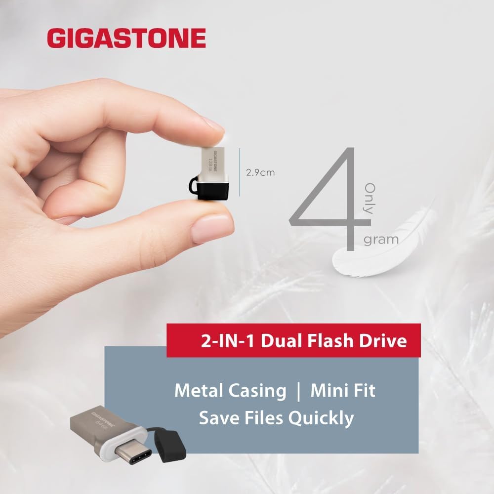 GIGASTONE 256GB Nano Luxus Dual USB Flash Drive, USB-C & USB-A, 100MB/s High-Speed Storage, Metal Design