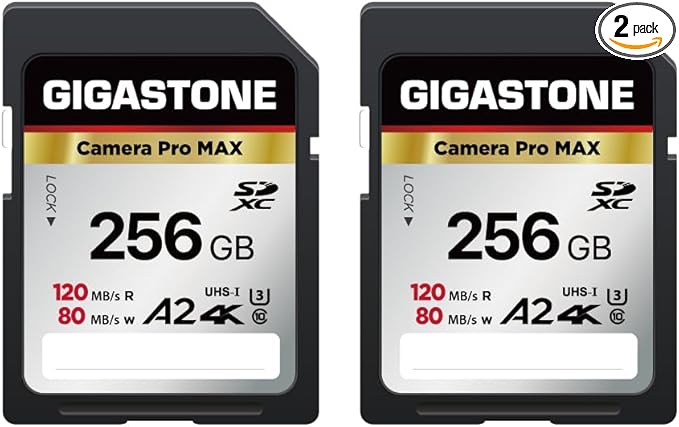 [5-Yrs Free Data Recovery] GIGASTONE 256GB 2-Pack SD Card, 4K Camera Pro MAX, A2 4K SDXC Memory Card High Speed 4K UHD Video Compatible with Canon Kodak Digital Camera, with 2 Mini case