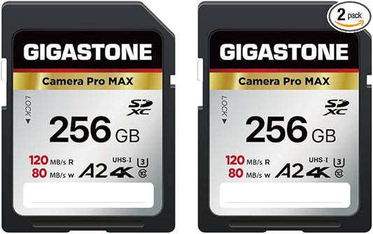 【5-Years Data Recovery】GIGASTONE 256GB SD Card 2-Pack 4K Camera Pro MAX, UHS-I A2 4K SDXC Memory Card High Speed 4K UHD Video Speed up to 120MB/s Compatible with Kodak Digital Camera with 2 Mini cases