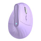 KYSONA Ergonomic Mouse Wireless, Bluetooth Vertical Mouse, 5-Level Adjustable DPI, 2.4G Silent Switch Mice for Windows, MacOS, IPadOS, Laptop, PC, Green