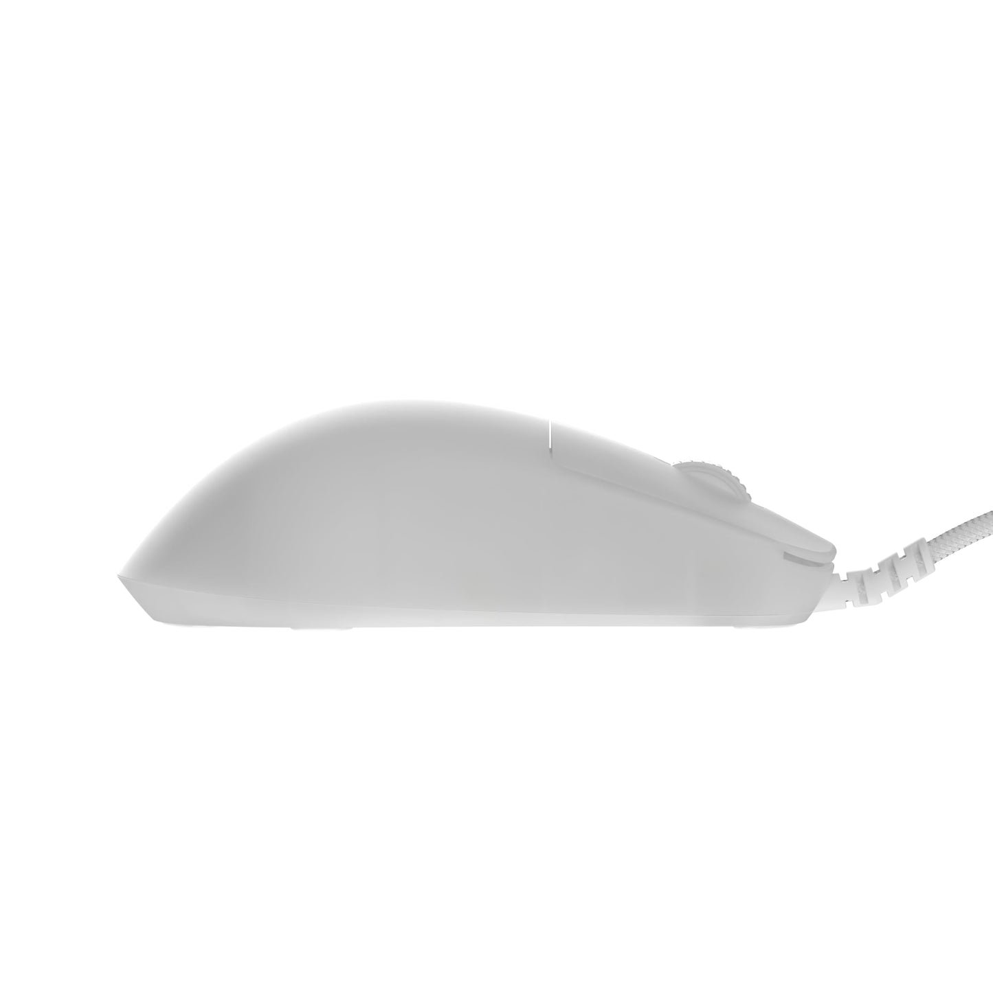 ENDGAME GEAR OP1 RGB Gaming Mouse - Precision Sensor, Kailh GX Switches, White Frost, RGB Lighting, White Frost