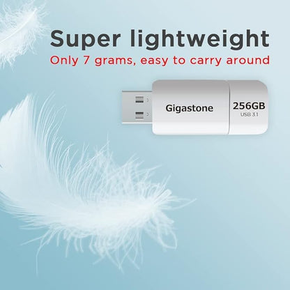 GIGASTONE 256GB Flash Drive (5 Pack) Z60 USB 3.2 Gen 1, 120MB/s Ultra Fast, Retractable Capless Slider Design, Data Storage, Backup for PC/Mac/TV/Car Audio, USB 2.0/3.0/3.1 Compatible