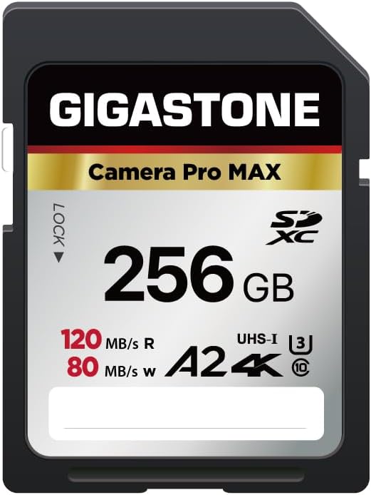 【5-Years Data Recovery】 GIGASTONE 256GB SD Card 4K Camera Pro MAX, UHS-I A2 4K SDXC Memory Card High Speed 4K UHD Video Speed up to 120MB/s Compatible with Kodak Digital Camera with 1 Mini case