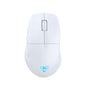 Turtle Beach Burst II Air Wireless Gaming Mouse for PC