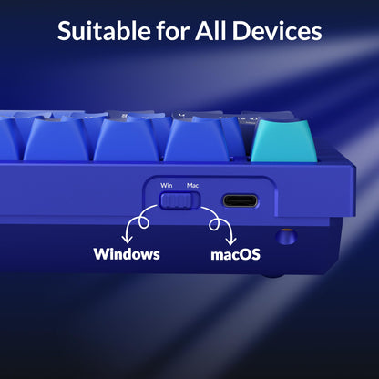 Keychron Q1 RGB Wired Custom Mechanical Keyboard, 75% Layout QMK/VIA Programmable Macro with Hot-swappable Gateron G Pro Blue Switch Double Gasket Compatible with Mac Windows Linux (Blue) -Version 2