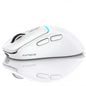 RAPIQUE Bluetooth Wireless Mouse, Dual Bluetooth + 2.4G, Black