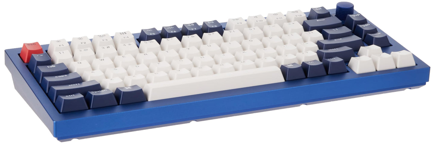 Keychron Q1 RGB Wired Custom Mechanical Keyboard, 75% Layout QMK/VIA Programmable Macro with Hot-swappable Gateron G Pro Blue Switch Double Gasket Compatible with Mac Windows Linux (Blue) -Version 2