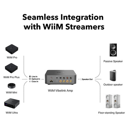 WiiM Vibelink Amp Stereo Amplifier for Passive Speaker Upgrade
