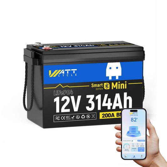 Wattcycle 12V 100Ah LiFePO4 Battery 120A BMS IP67 Bluetooth