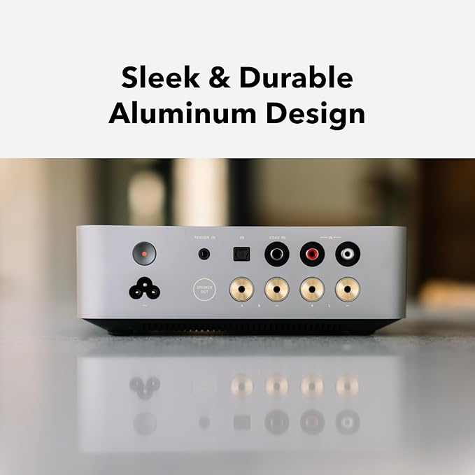 WiiM Vibelink Amp | 100W Power Amplifier with Premium ESS 9039Q2M DAC and TI TPA3255 | Compatible with WiiM Mini, Pro, Pro Plus, and Ultra | RCA, Coax, and Optical Inputs | Silver