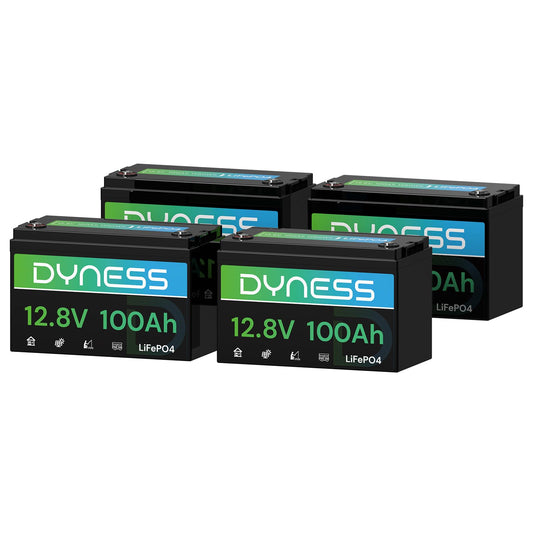 Dyness 12V 100Ah Mini LiFePO4 Battery 2 Pack Group 24, 12 Volt Deep Cycle Lithium Battery with 100A BMS, Low-Temp Protection & 10 Years Lifespan for RV, Boat, Trolling Motor, Solar Off-Grid