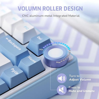 RK ROYAL KLUDGE R75 Mechanical Keyboard Wired with Volume Knob, 75% Custom Gaming Keyboard Gasket Mount RGB Backlit with Software, Cherry Profile, Hot Swappable Silver Switch, PBT Keycaps