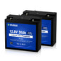 DC HOUSE 2 Pack 12V 30Ah LiFePO4 Battery with DC Port for Trolling Motor