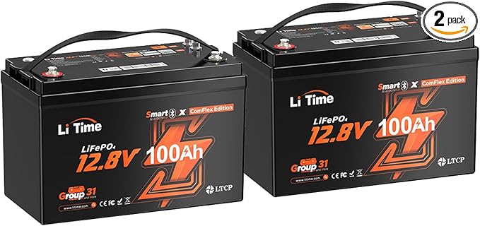 LiTime 12V 100Ah LiFePO4 Group 31 Battery, Compatible with Victron, Built-in 100A BMS & Bluetooth, Low-Temperature Protection, CAN/RS485 Communication, Ideal for Trolling Motors, Marine, RV (2Pack)