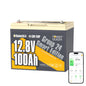 Power Queen 12V 100Ah Group 31 LiFePO4 Lithium Battery for RV, Marine