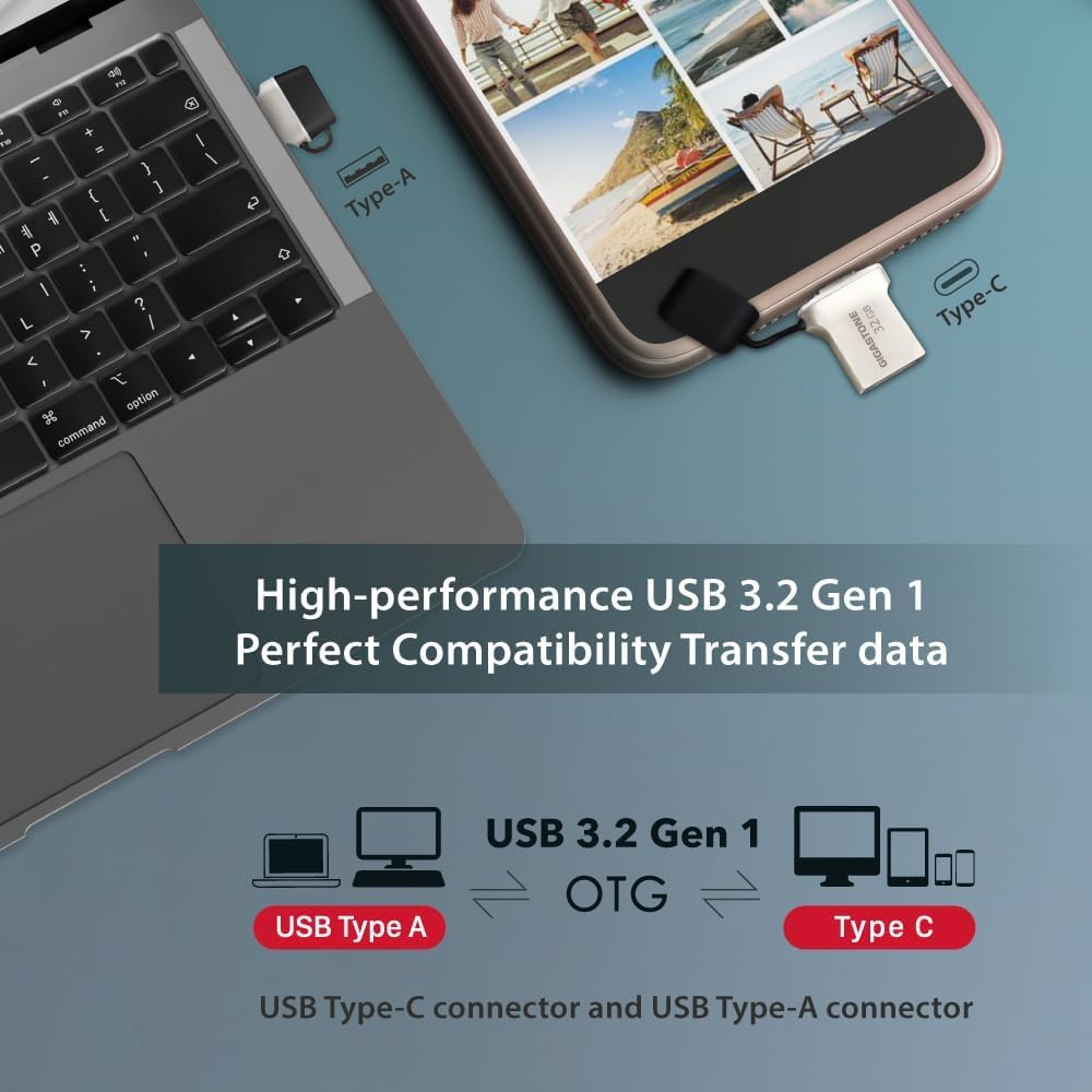 GIGASTONE 256GB Nano Luxus Dual USB Flash Drive, USB-C & USB-A, 100MB/s High-Speed Storage, Metal Design