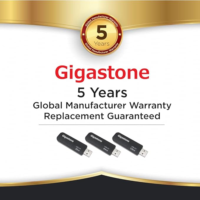 GIGASTONE V30 64GB USB 2.0 Flash Drive 2-Pack, Capless Retractable Design Pen Drive, Carbon Fiber Style, Reliable Performance & Durable