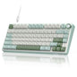 RK ROYAL KLUDGE R75 Mechanical Keyboard Wired with Volume Knob, 75% Custom Gaming Keyboard Gasket Mount RGB Backlit with Software, Cherry Profile, Hot Swappable Silver Switch, PBT Keycaps
